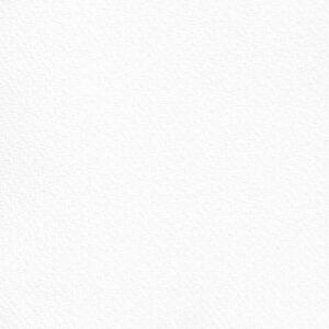 Alana Dark de Oliveira